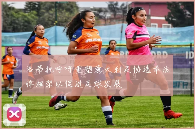 洛蒂托呼吁重塑意大利足协选举法律框架以促进足球发展
